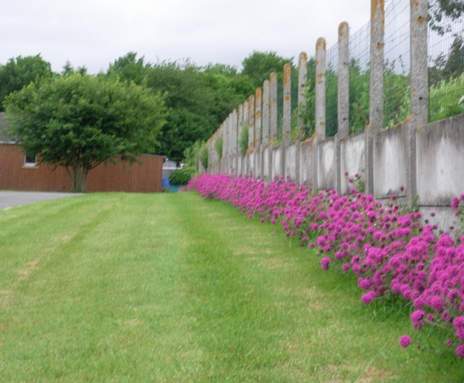 Mamoucafecouette Bed & Breakfast Roz-sur-Couesnon Luaran gambar